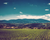 安装卸载干净的DDOS网页端